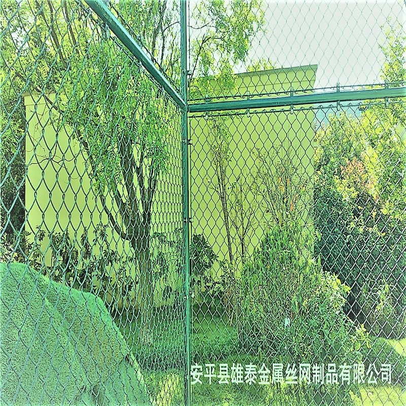 W(xu)УԲوW(wng)@̩W(xu)УوW(wng)S@W(xu)УوW(wng)Sl(f)