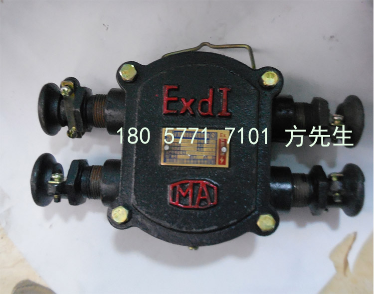 BHD2-100/660(380)-4TVø͵͉|Ӿ(xin)