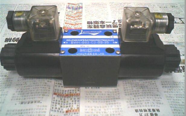 DSG-02-2D3-A2-10 _M(jn)KN LITIAN늴y