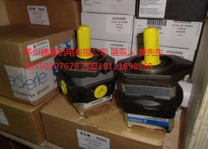 EIPH6-100RK23-1X德國ECKERLE艾可勒齒輪泵，變送器