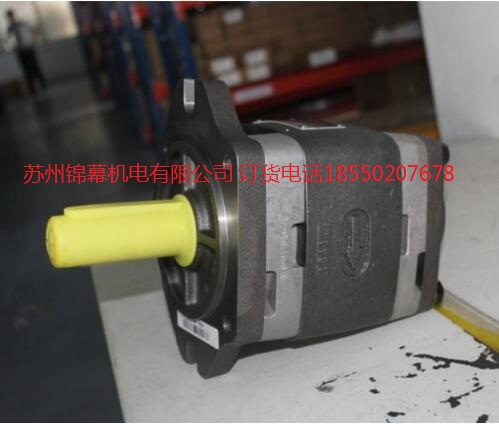 IPVP5-64-111VOITH X݆ y