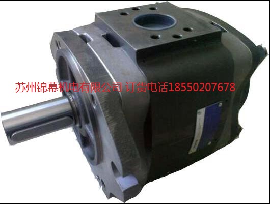 IPVP7-200-101(gu)SVOITH X݆