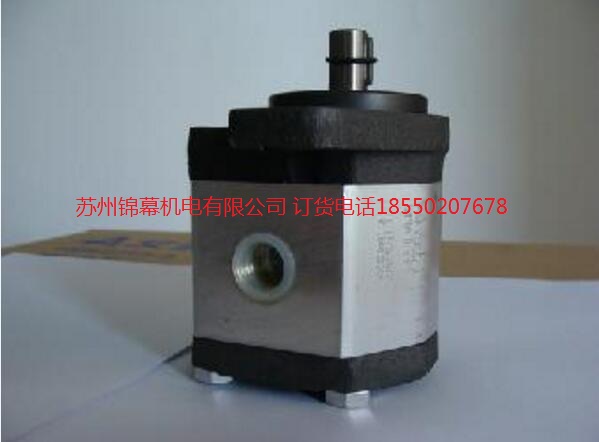 ALP2BK1-D-30-FGa(chn)ƷNMarzocchiRX݆