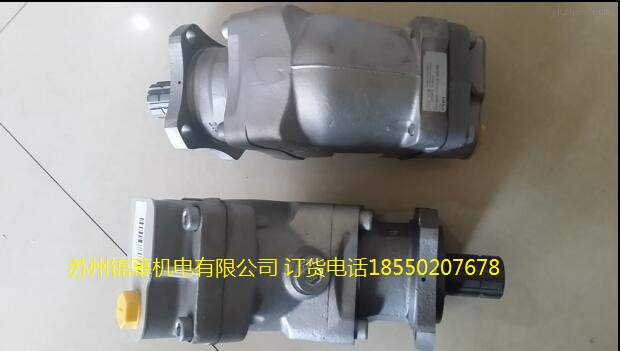RDN-1-0-04/LSN-250德國(guó)齒輪泵HAWE哈威軸向柱塞泵