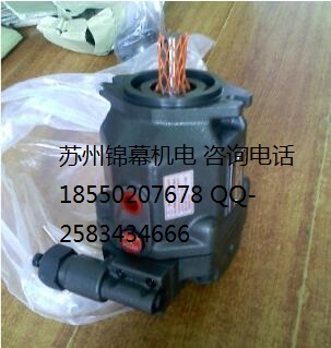 PV2R23-41-125-F-RAAA-41ձYUKENҺpy