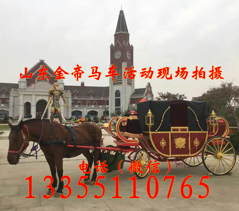 洛陽哪里能買到馬車