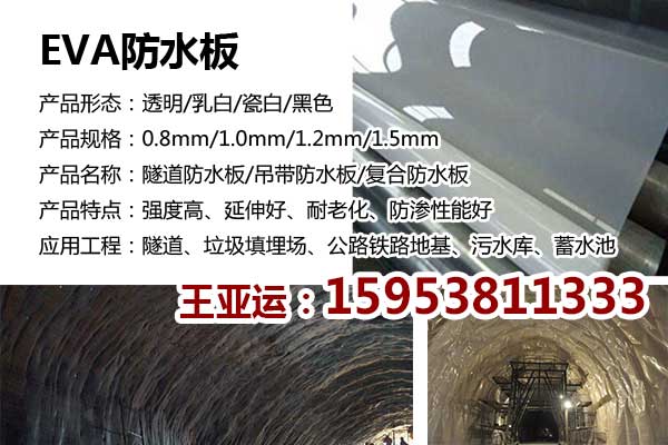 BTo(h)B(ti)Sa(chn)r(ji)40x80ӎݷN