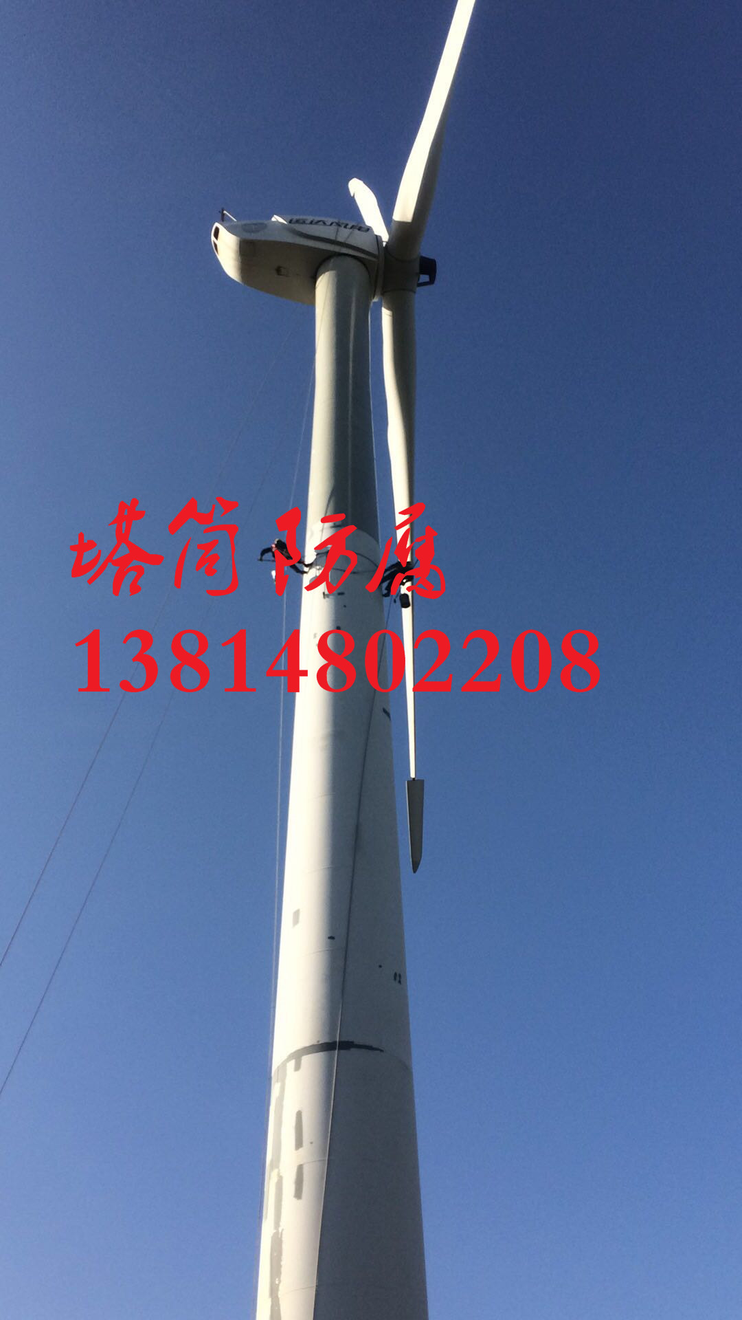 阜新市葉片防腐在哪里