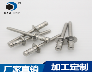 東莞凱仕特skk42hr不銹鋼雙鼓抽芯鉚釘汽車(chē)專(zhuān)用