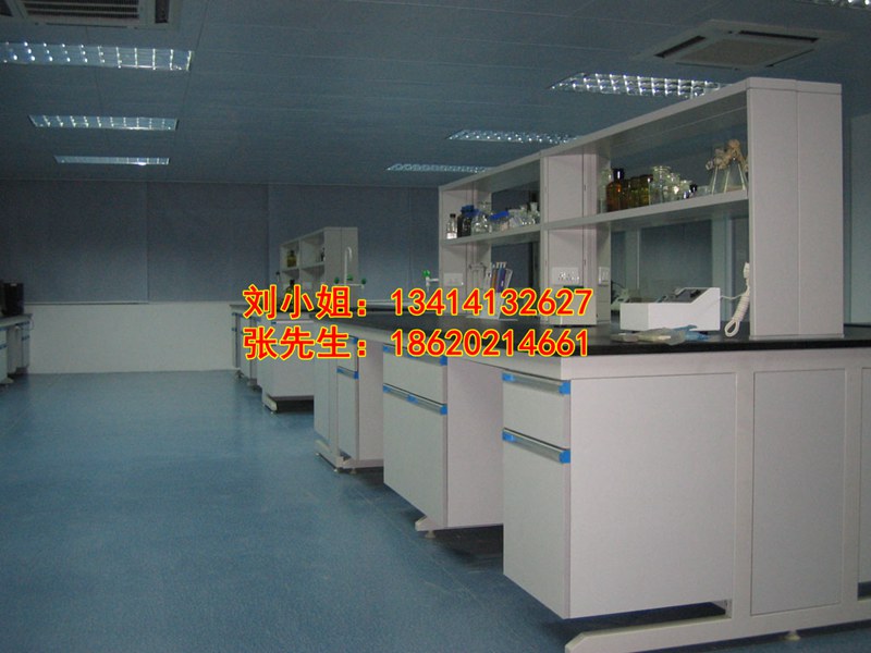 廣州開發(fā)區(qū)君鴻食品檢測(cè)實(shí)驗(yàn)室家具實(shí)驗(yàn)臺(tái) 實(shí)驗(yàn)柜 通風(fēng)柜配套設(shè)備