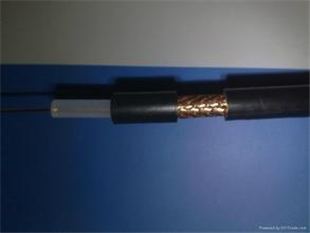 SFF-75-5|(bio)zy(c)