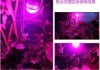 LEDֲ-4-20mA؝׃-ǹ늿Ƽ޹˾