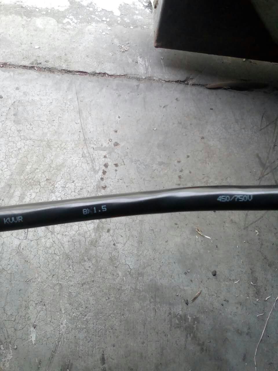 (yng)(bio)KYJV22-12*6zb|
