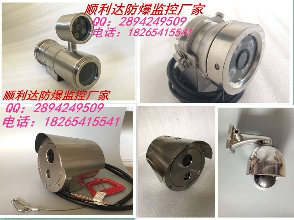 順利達(dá)防爆攝像機(jī)，?？荡笕A，機(jī)芯可選配，紅外網(wǎng)絡(luò)防爆球機(jī)