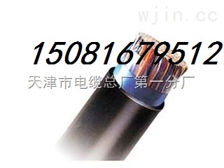 ȫͨ| HYA30*2*0.8