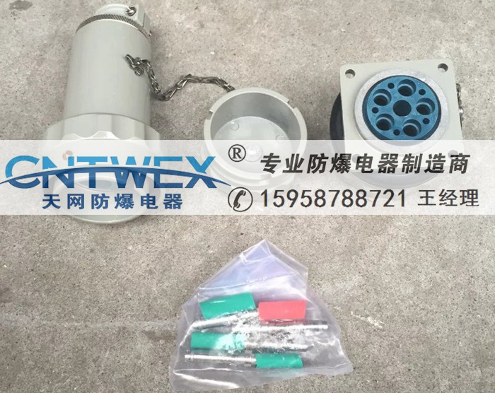 工業(yè)BWX-16A/14芯防爆無火花鏈接器固定/移動插頭插座