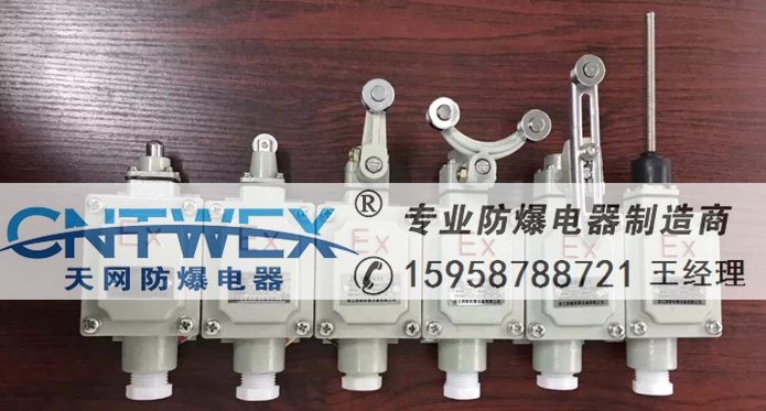DLXK-15г_P(gun) ExdIIBT6