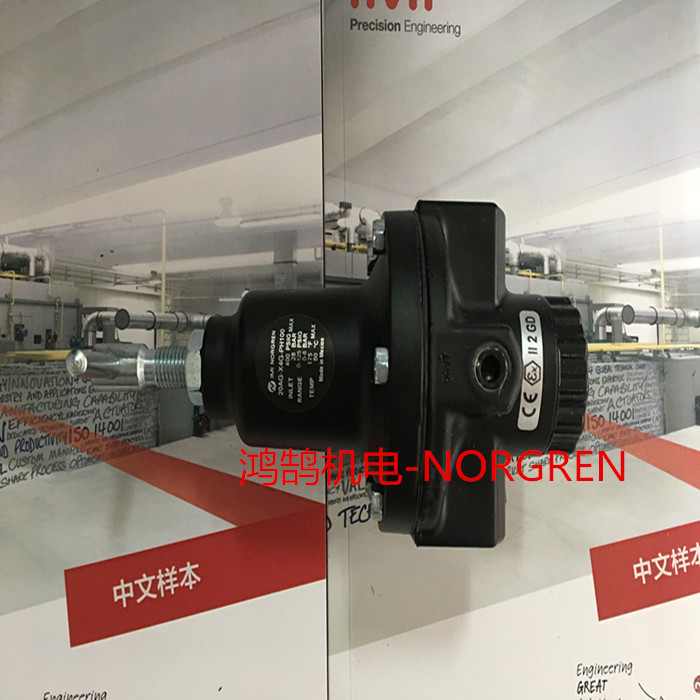 (yng)ZNORGREN{(dio)y20AG-X6G/PH100r