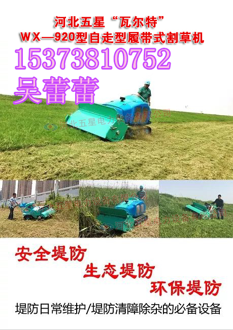 山東河道割草機-生態(tài)堤防專用除草機【河堤堤防除草機價格】 山東河道割草機-生態(tài)堤