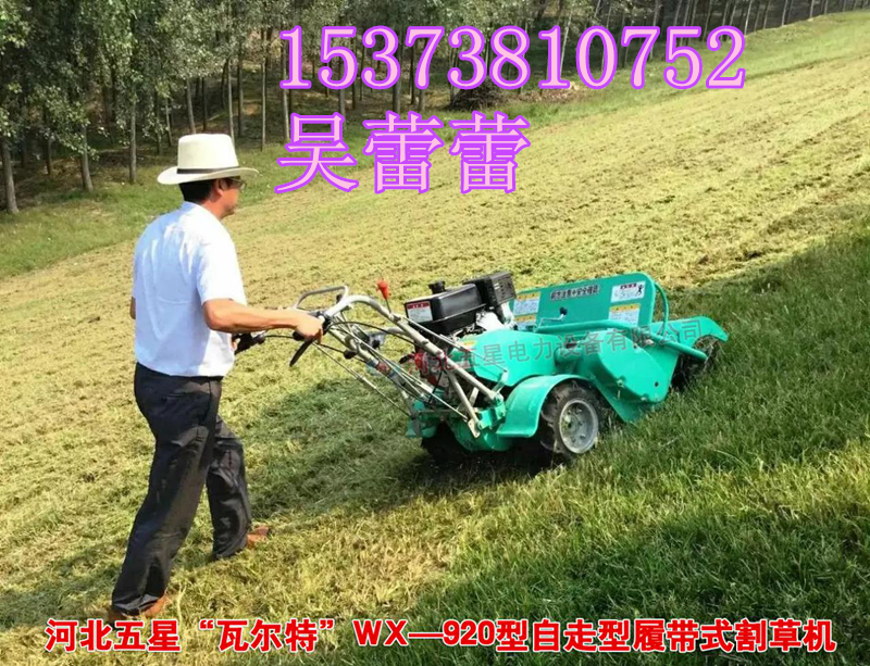 wx-1920型河堤堤防除草機_安徽合肥2018新型除草設(shè)備