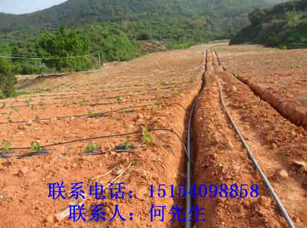 克拉瑪依3寸網(wǎng)式/碟片過(guò)濾器@質(zhì)量過(guò)硬廠家
