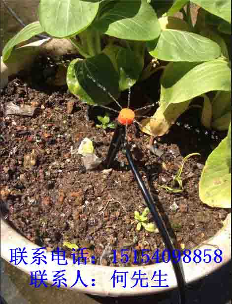 玉溪1寸網(wǎng)式/碟片過濾器/茂源節(jié)水/歡迎您