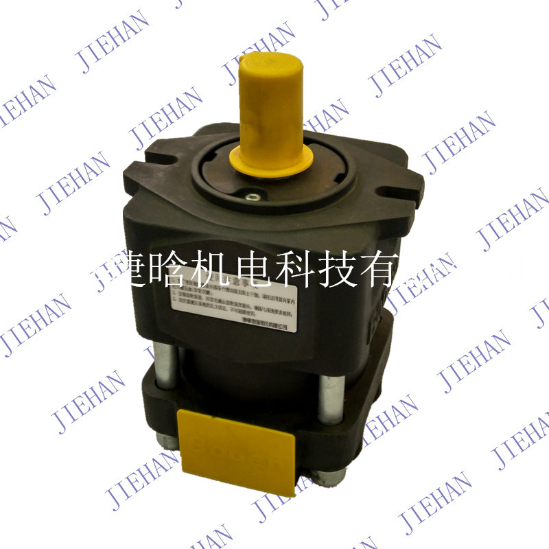 上海博頓boden內(nèi)嚙合齒輪泵BNP5-C250F