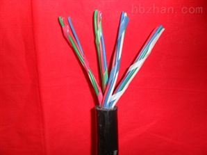 天聯(lián)牌 鐵路信號電纜PTY23、PTYA22價格