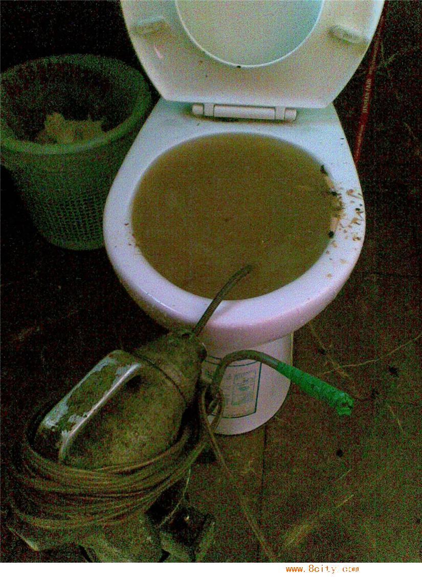 吳江平望馬桶疏通