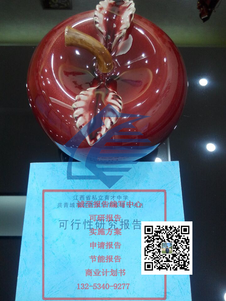 務川仡佬族苗族自治縣項目可研報告可行代寫