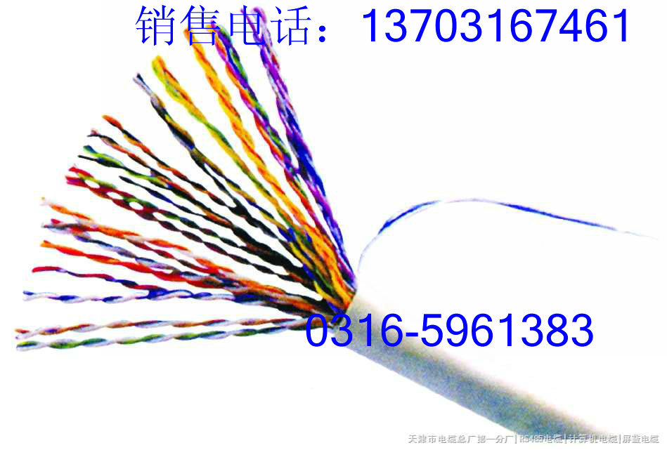 ZRC-HYA23-2*2*0.4̓rN䌎h