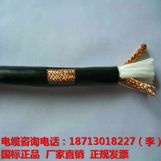 ZRC-DJYP3VP3-8×3×2.5計(jì)算機(jī)控制線