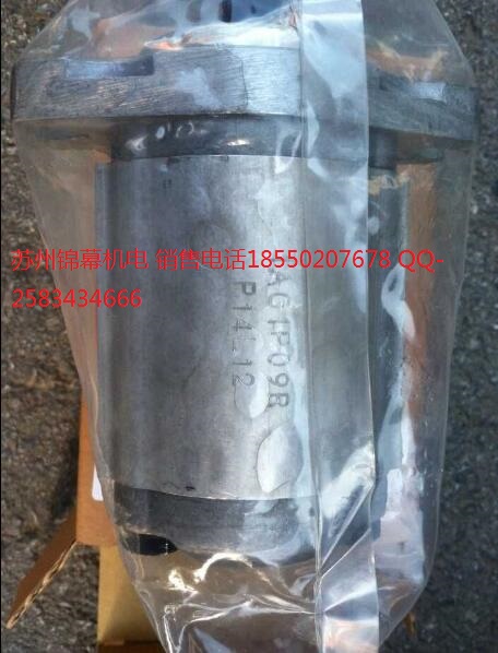 1DG1BP0602R臺(tái)灣HONOR鈺盟高壓齒輪泵，阿托斯現(xiàn)貨齒輪泵