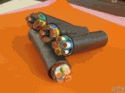萊陽市KFF22耐高溫控制電纜新品
