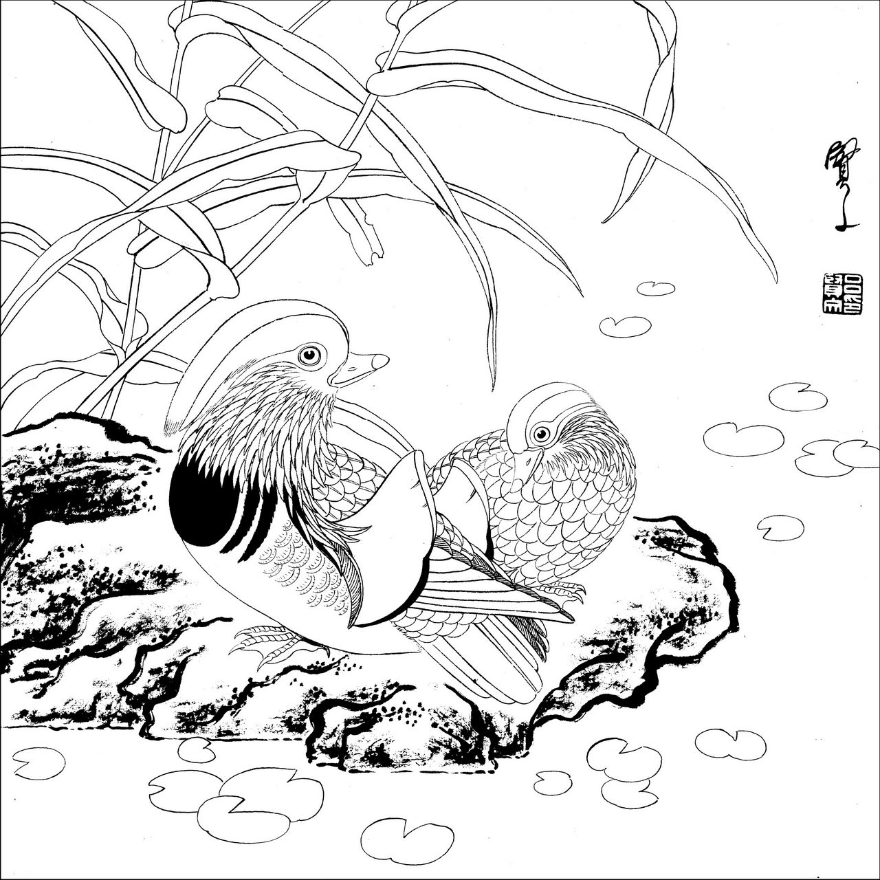 SRP-4XM2GRN00 &微觀角度