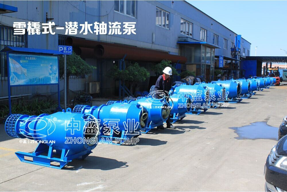 900QZ/QZB/ZQ-75KW低揚(yáng)程雪橇式軸流泵