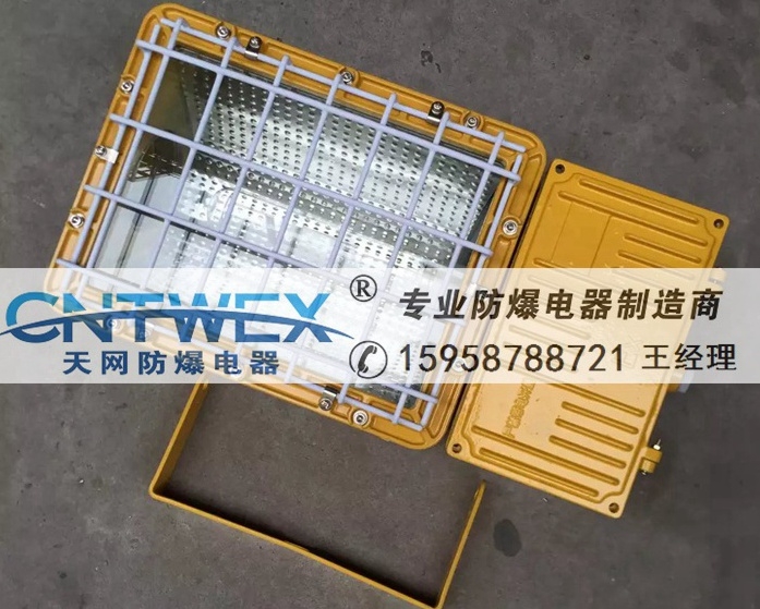 BAT52防爆泛光燈250W400W一體防爆投光燈車間倉庫分體式防爆燈