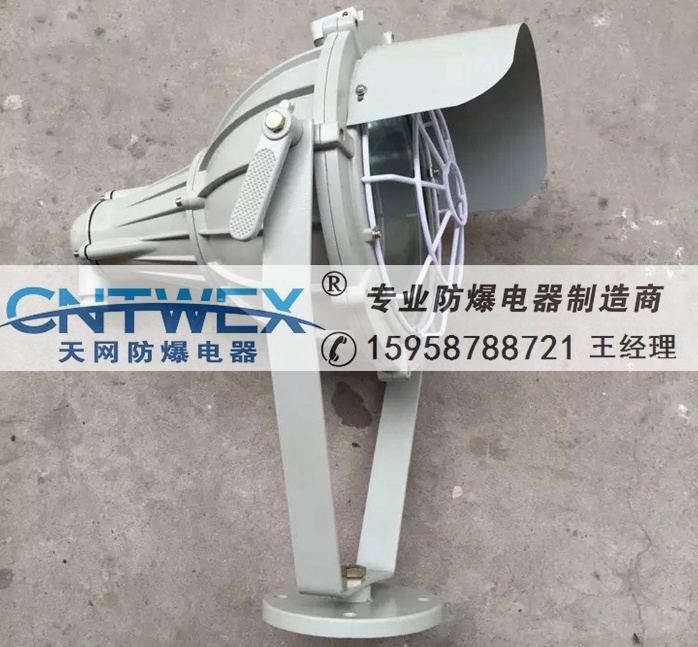 Td防爆投光燈防爆金鹵燈投光燈廠家直銷防爆高壓鈉燈投光燈