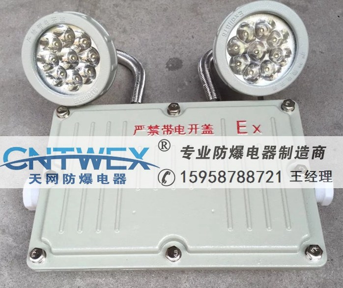 防爆應(yīng)急照明燈_BAJ52-B-2*10W(雙頭式)防爆應(yīng)急照明燈