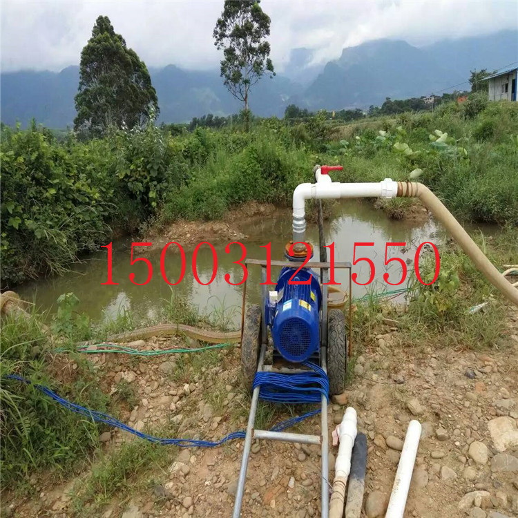 ISW80-315管道離心泵分為立式與臥式兩種湖北