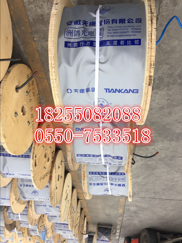 YR電纜價(jià)格，YR電纜供應(yīng)商，YR電纜【天康集團(tuán)】