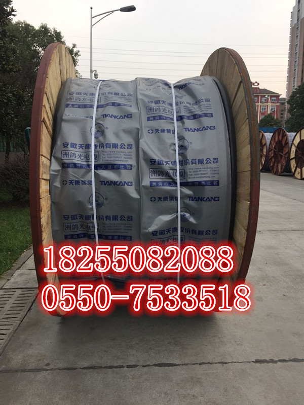 商機(jī)供應(yīng)KGGR 2*0.5 2*0.75硅橡膠電纜-安徽天康集團(tuán)