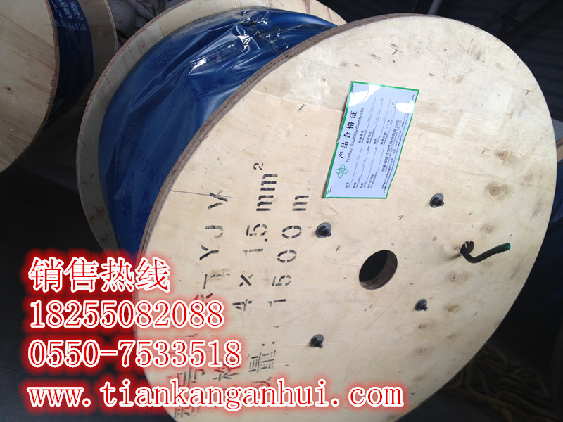 商機(jī)供應(yīng)GG 1*95  1*120硅橡膠阻燃電纜-安徽天康集團(tuán)
