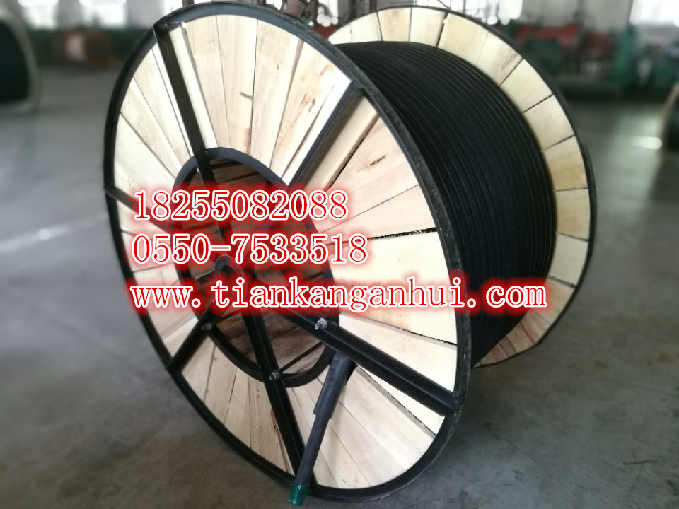 YGC、KGGRP、KGGR電線電纜硅橡膠軟電纜【天康集團(tuán)】