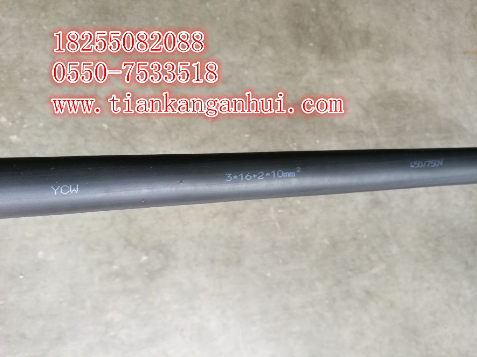 BPGVFPP2電纜，BPGGPP2耐高溫硅橡膠變頻器電纜【天康集團(tuán)】