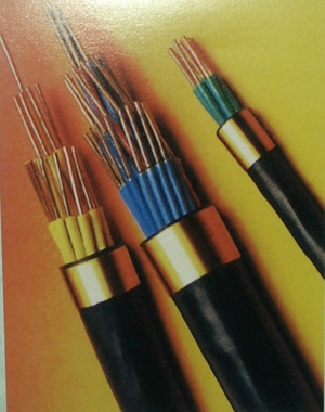 DLD-KVV低煙低鹵電纜，NH-KVV耐火控制電纜-小貓電纜廠-河北供應商
