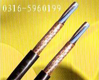 氟塑料高溫線(xiàn)AFF AF250