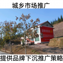 孝感墻體寫大字安陸市墻體掛布廣告應(yīng)城市街道彩繪