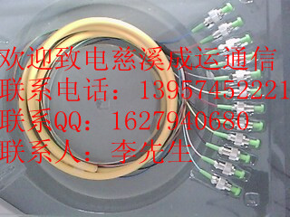12芯FC束狀尾纖！12芯SC芯束狀尾纖！12芯束狀尾纖廠家