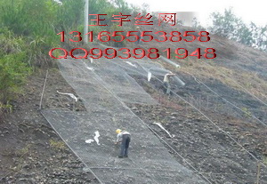 邊坡防護菱形鐵絲網(wǎng)綠化勾花網(wǎng)菱形勾花網(wǎng)山體掛網(wǎng)菱形鐵絲網(wǎng)報價